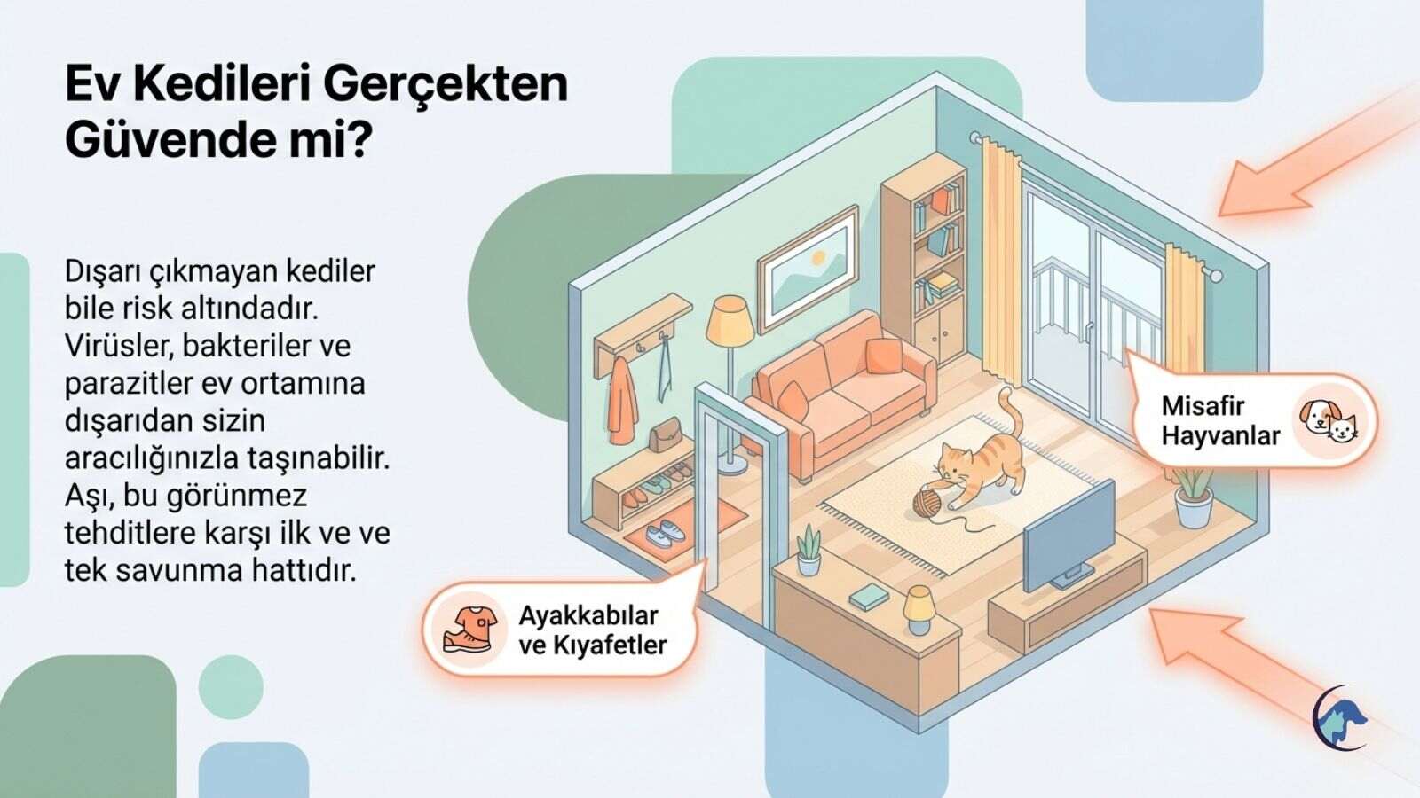 evde-yasayan-kediler-olmali-mi
