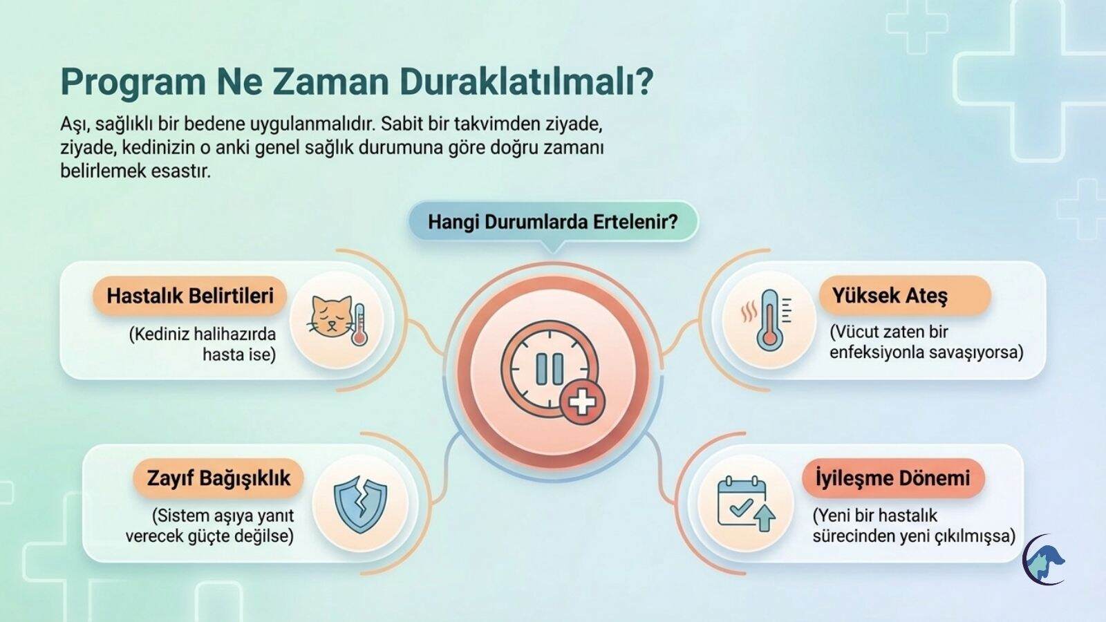 kedi-asilari-hangi-durumlarda-ertelenir