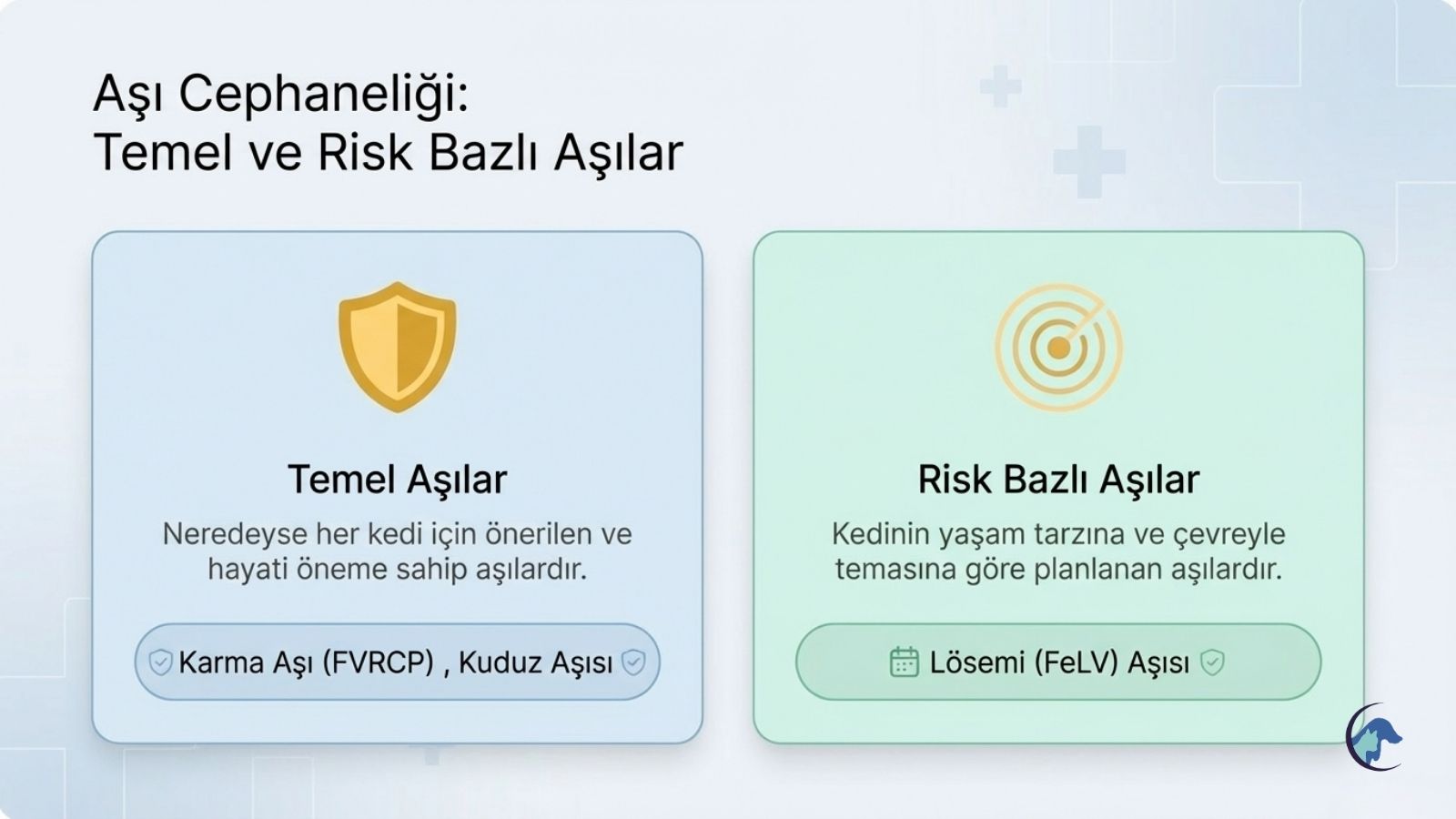 kedilerde-temel-asilar